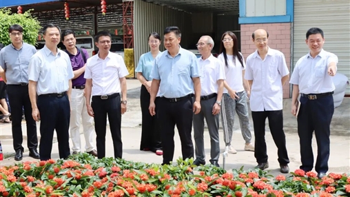 自治區政協(xié)常委、梧州市政協(xié)主席黃振饒蒞臨百裕集團走訪(fǎng)調研
